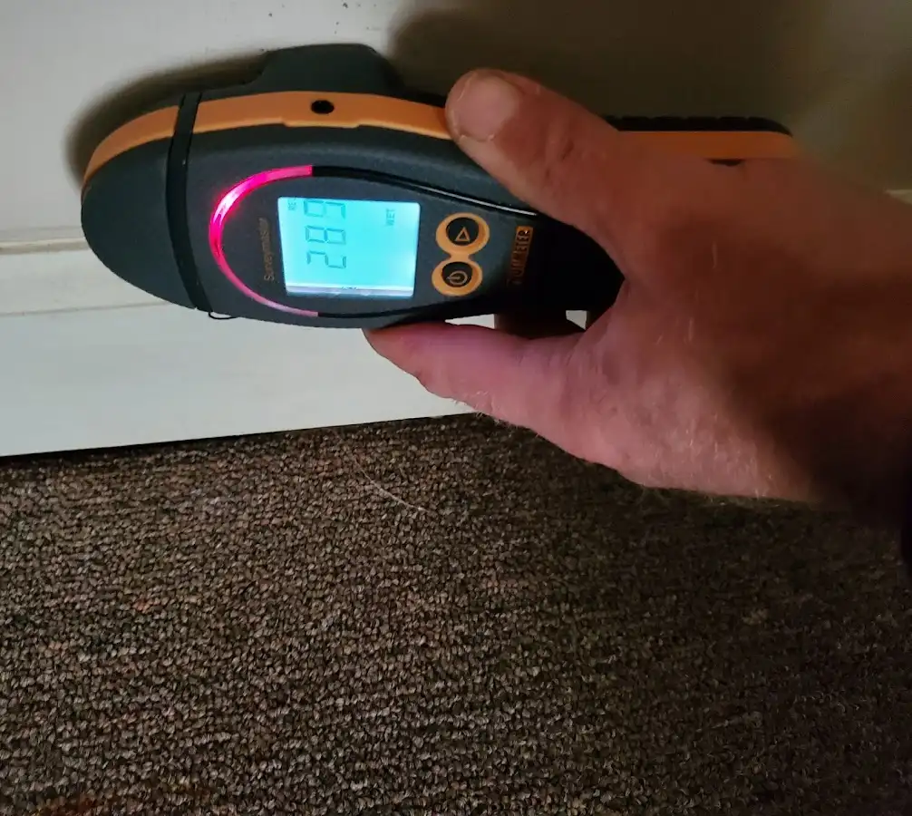 Moisture detection at baseboard during Sewage Cleanup & Sanitation in Suncrest